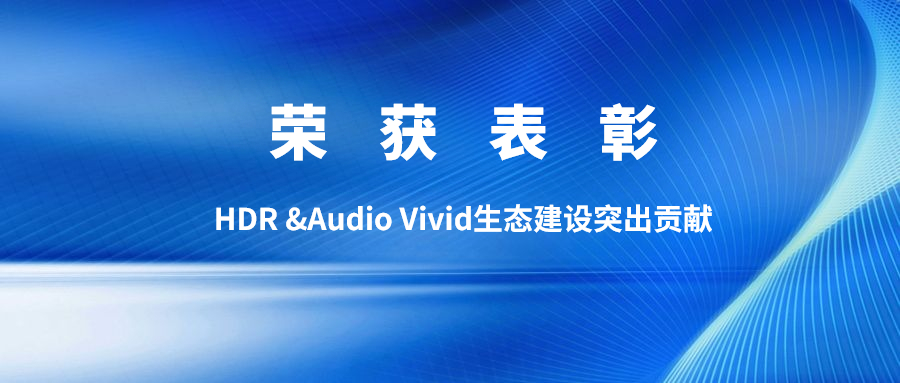 权威认可！环球app科技获双Vivid生态建设突出贡献表彰